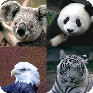 Animals Wild Nature Quizz