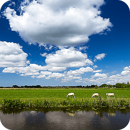 Het Weer in Nederland - Gratis