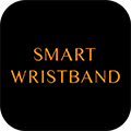 WRISTBAND