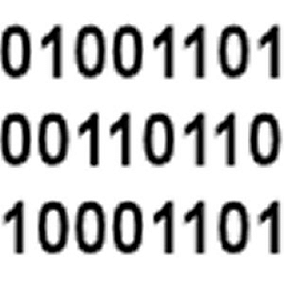 Binary Code Translator