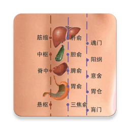 中医经络穴位流注