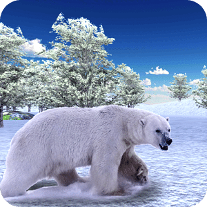 Indignant Bear 3D Attack