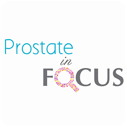 Prostate In Focus