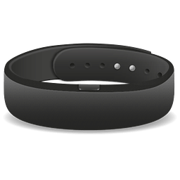 SmartBand SWR10