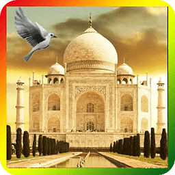 Taj Mahal Birds Live Wallpaper