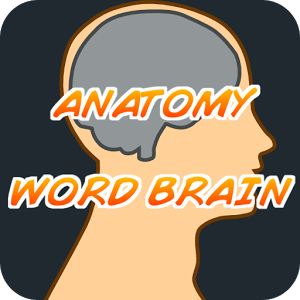 Anatomy Word Brain Quiz