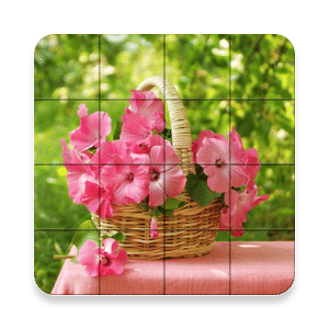 Pink For Girls Puzzle