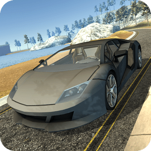 Race Car Driving Simulator