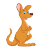 Spring Kangaroo