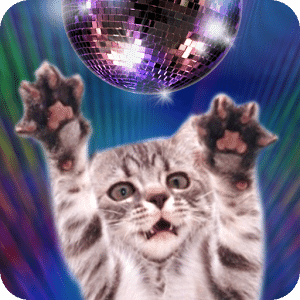 Disco Cats Dancers