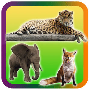 Wild Animals Pictures Puzzle