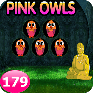 Five Pink Owl Escape Game