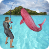 Fishing Shark Diary