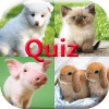 Pics Animals Quiz