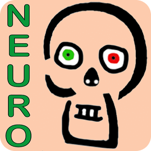 Skeletto-Neuro Anatomie