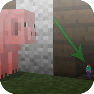 Tiny player addon for MCPE