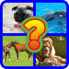 Animals Quiz Game