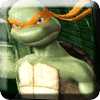 Ninja Attacks: Turtle fighting