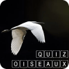 Quiz consacré aux oiseaux