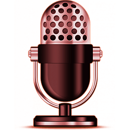 手机语音助手