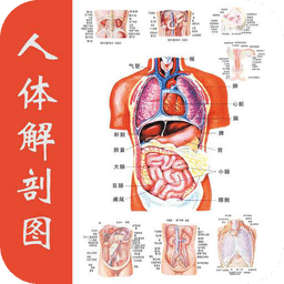 2018版人体解剖学图谱