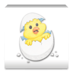 小鸡PIO真实的动物