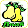 Game Menebak Nama Buah Offline