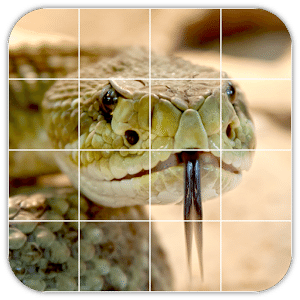 Tile Puzzles · Snakes