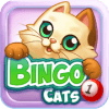 Bingo Cats