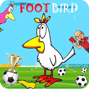 FOOTBIRD精简版