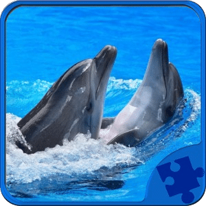 Dolphins Jigsaw Puzzle