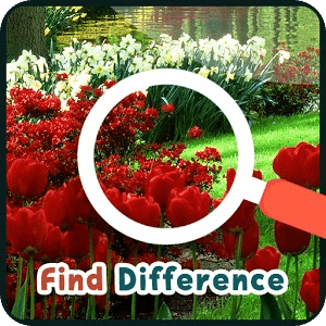 Find Differences Garden