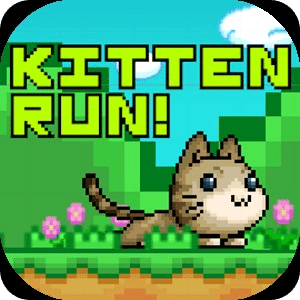 Kitten Run!