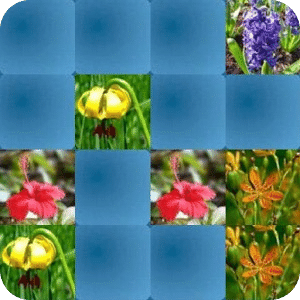 Flowers Hard Memory Game (HMG)