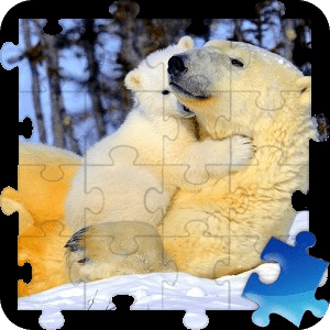 Bear Jigsaw Puzzle