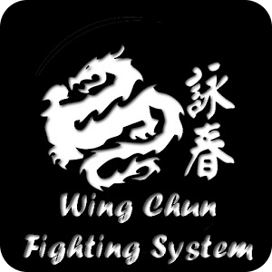 Wing Chun Fighting System