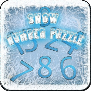 Snow Number Puzzle