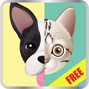 Dog Breed, Cat Breed Quiz