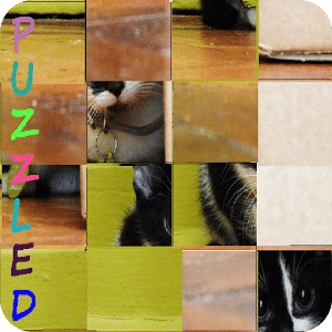 PUZZLED Lite