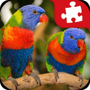 Rainforest Animals Puzzle