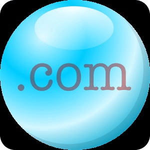 Top-Level Domain Names Quiz