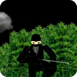 3D Ninja Game