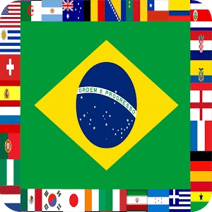 Flagz World Cup 2014 Puzzle