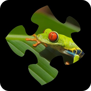 Frog Jigsaw Puzzles