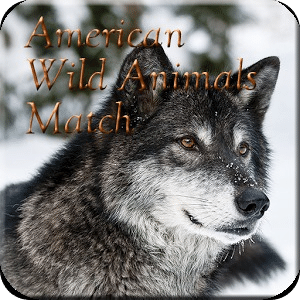 American Wild Animals Match