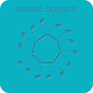 Ty's Animal Sounds