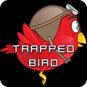 Trapped Bird