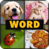 4 Pics 1 Word Puzzle