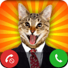 * fake call cat New * The Simulator