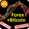 Holy Grail Forex & Bitcoin Trading Simulation Game